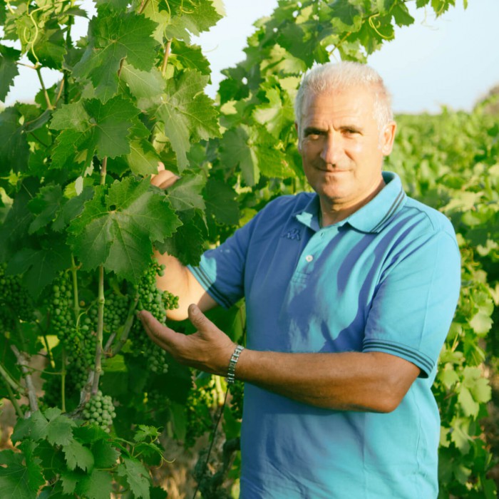 Cosimo Schifone agronomo a Masseria Cicella