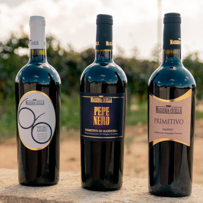 degustazione primitivo di Manduria Masseria Cicella